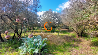  Terrain � vendre 1040 m�