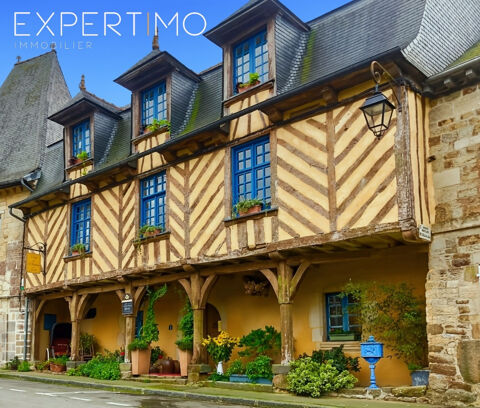   MAGNIFIQUE Maison du XVIIe si�cle Propri�t�/ch�teau - 10 pi�ce(s) - 300 m�