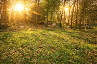  Terrain � vendre 2400 m�