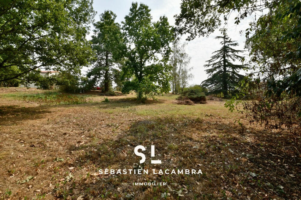 Vente Terrain CADALEN   TERRAIN À BÂTIR DE 1 191 M2   UN ÉCRIN DE VERDURE SANS VIS-À-VIS Cadalen