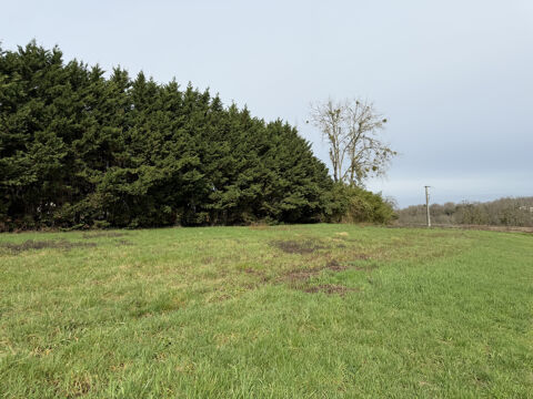   Terrain constructible de 3378m2 