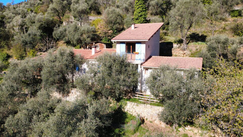   Maison dans les oliviers Maison - 6 pièce(s) - 114 m²