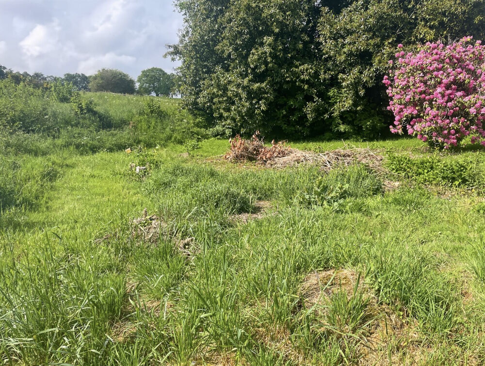 Vente Terrain RARE  À LA VENTE : Terrain constructible au cœur de LIZIO Lizio
