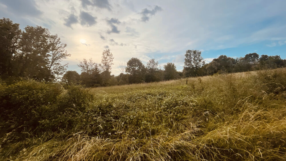 Vente Terrain Terrain de loisirs de 2880 m2 avec vue dégagée sur la nature 18 000 € Provency