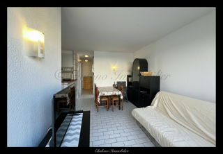  Appartement � vendre 2 pi�ces 30 m�