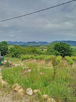  Maison � louer 5 pi�ces 126 m�