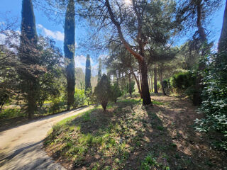  Maison � vendre 11 pi�ces 362 m�