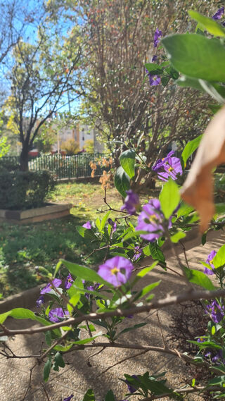  Appartement  vendre 3 pices 70 m