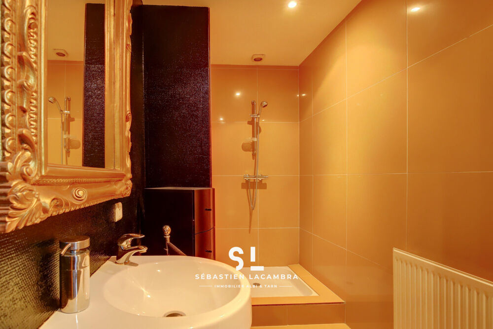  vendre  Proprit/chteau Rivires (81600)