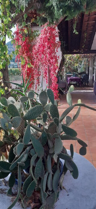  Maison � vendre 4 pi�ces 148 m�