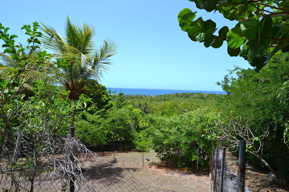 à vendre  Propriété/château Sainte-Anne (97180)