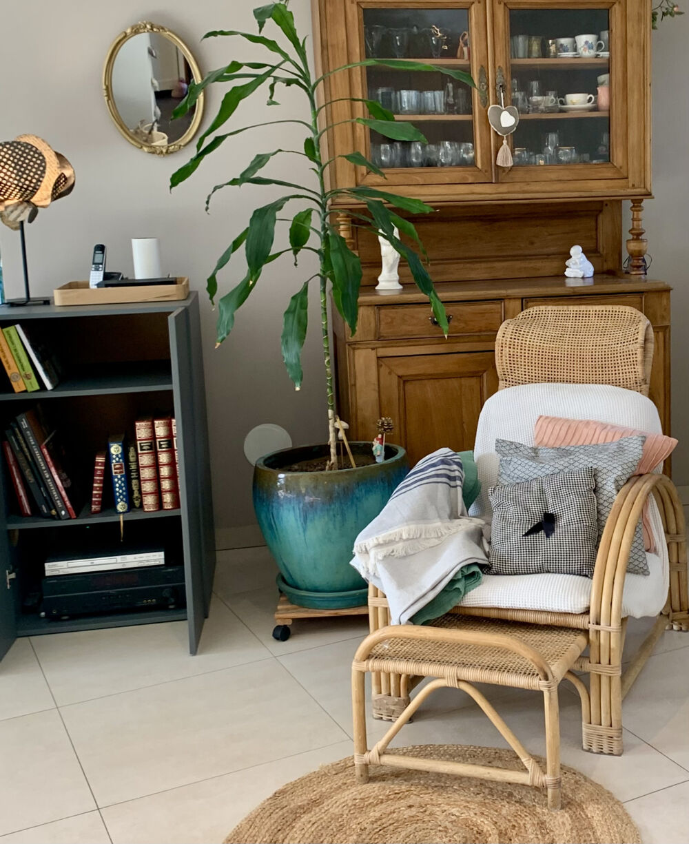 � vendre  Propri�t�/ch�teau Pleurtuit (35730)