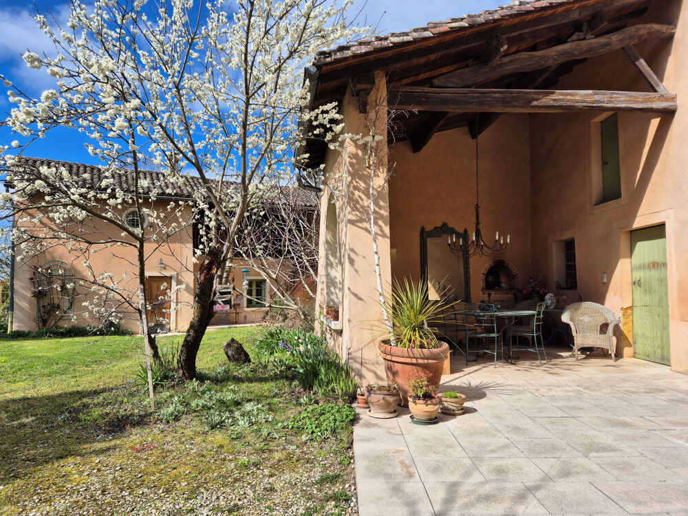 � vendre  Propri�t�/ch�teau Tramoyes (01390)