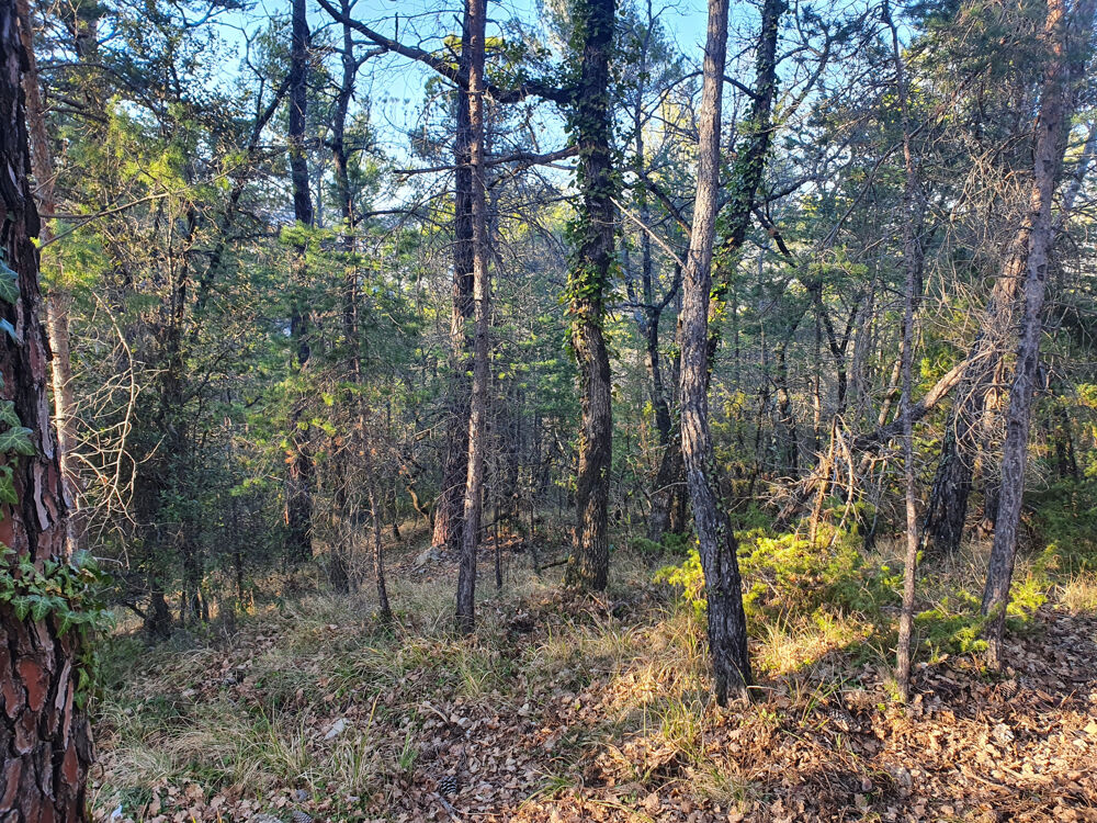 Vente Terrain Terrain de loisirs Chateaudouble