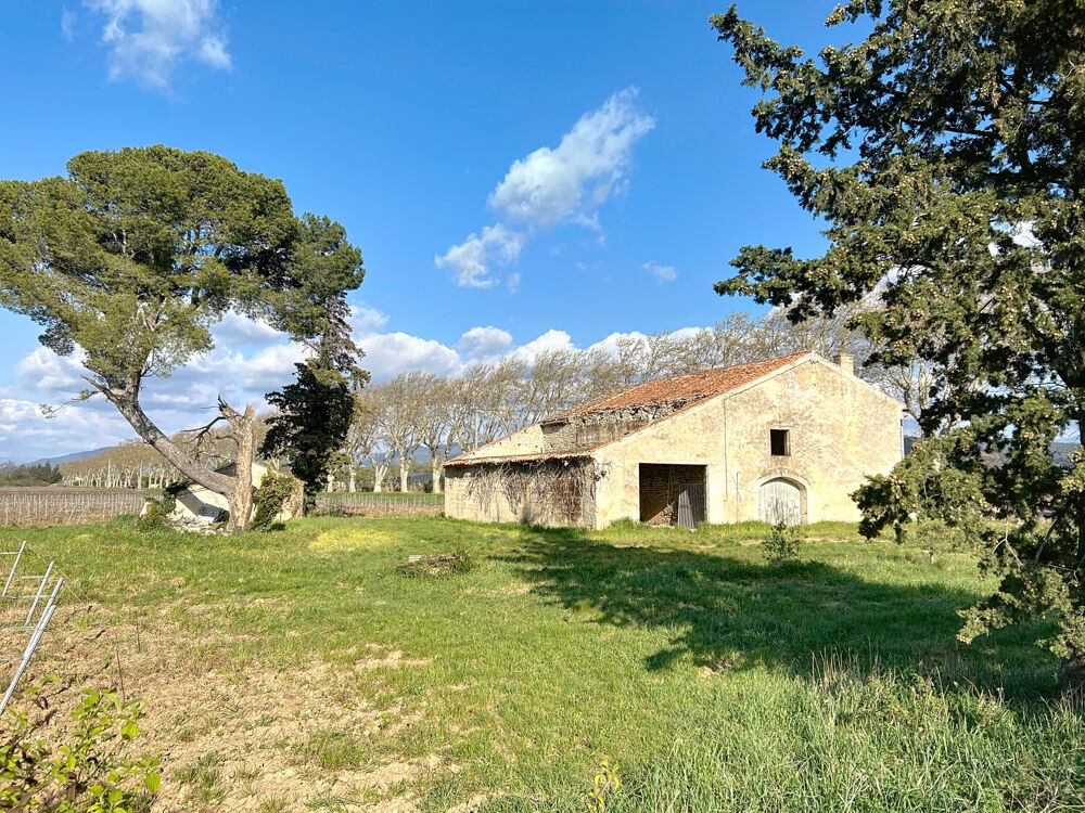 ANCIENNE FERME VITICOLE A RESTAURER DE 383 m2 de SURFACE TOTALE sur 3000 m2 DE TERRAIN