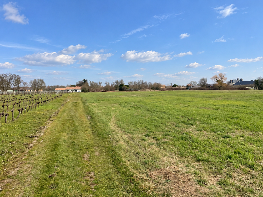 Vente Terrain Terrain constructible de 630m2 St christoly de blaye