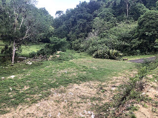  Terrain  vendre 1000 m