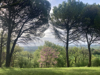  Propri�t�/ch�teau � vendre 8 pi�ces 155 m�