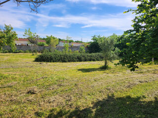 Vente Terrain Terrain constructible de 1 460 m2 avec vue sur la campagne   La Brousse La brousse