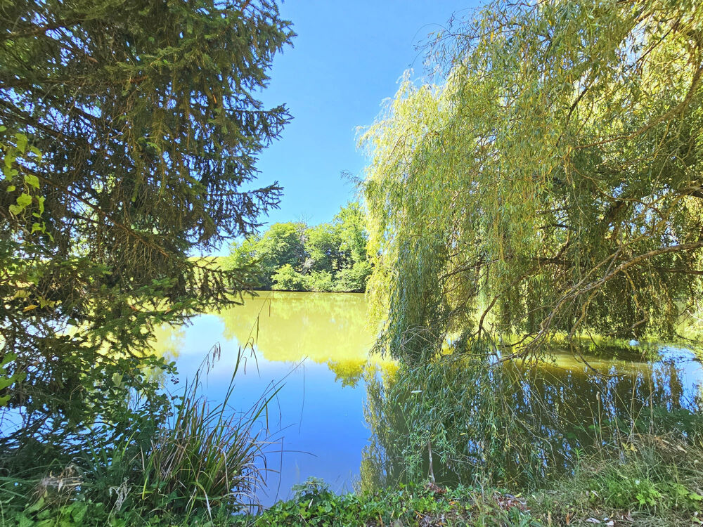 � vendre  Maison L�dat (47300)