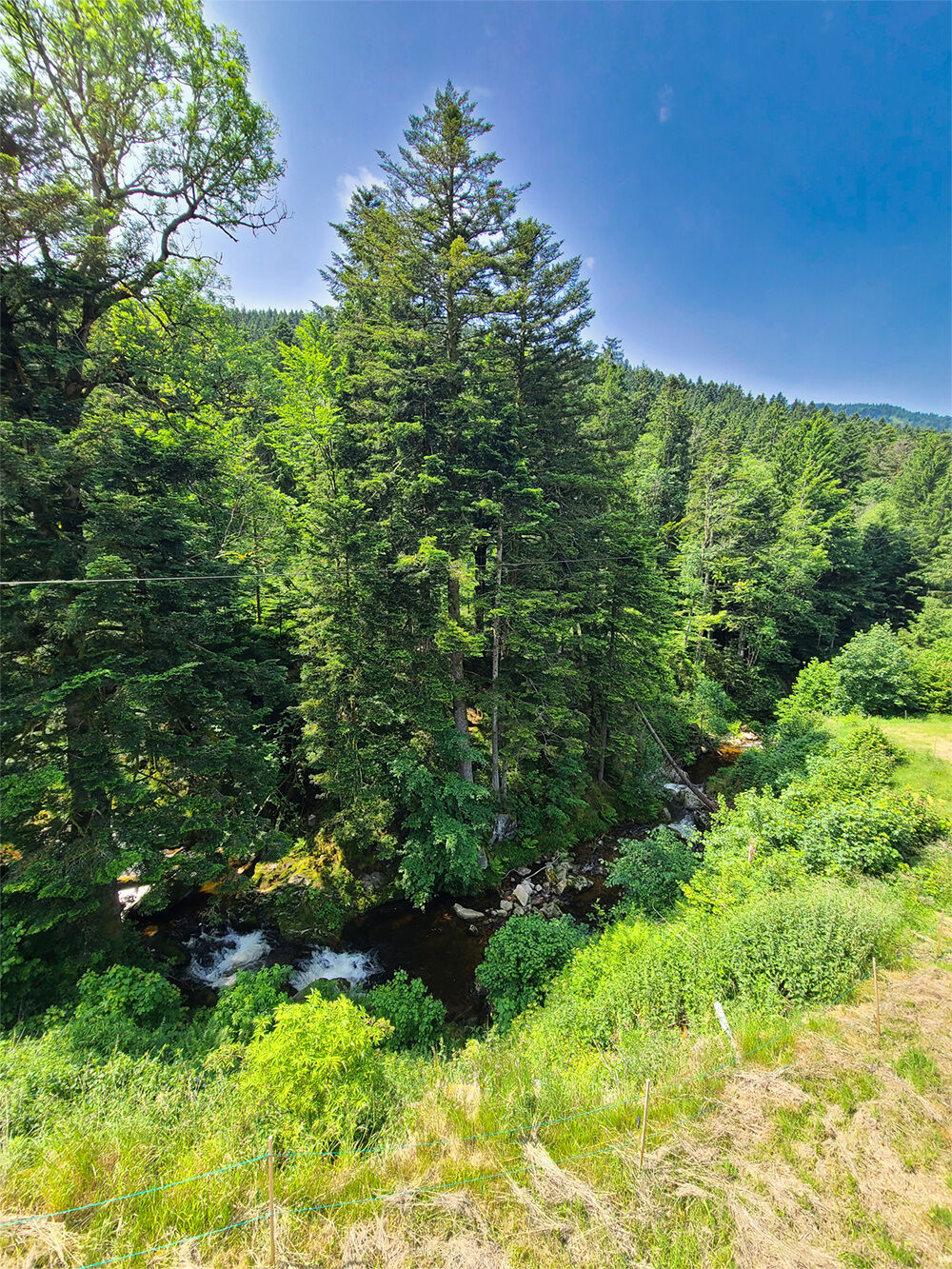 Ventron, Vosges. Grande maison de 4 chambres, 3 SDB, terrasse en pilotis avec vue sur rivière.