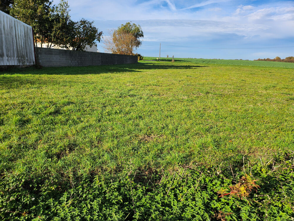 Vente Terrain Terrain 500m2, possibilité d'acheter l'ensemble du terrain 2000m2 en tout Les magnils reigniers