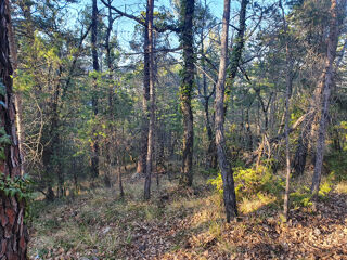 Vente Terrain Terrain de loisirs Chateaudouble