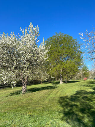  Maison  vendre 8 pices 220 m