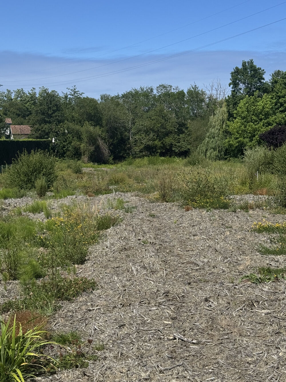 Vente Terrain BIDART-UHABIA-TERRAIN PLAT À BATIR-VIABILISÉ-LIBRE DE CONSTRUCTEUR Bidart