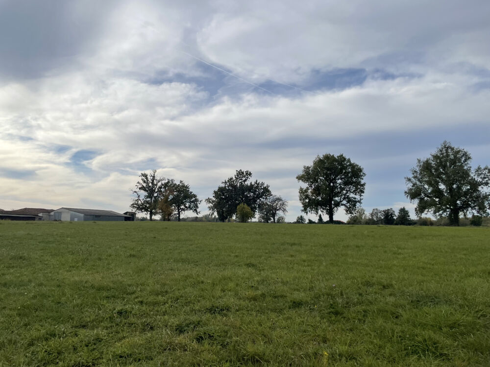 Vente Terrain Terrain d'exception   Vieille Route de Montauban Negrepelisse