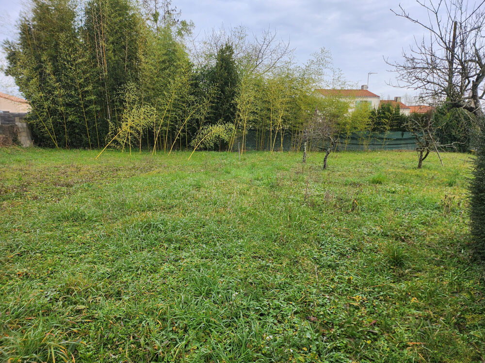 Vente Terrain Terrain constructible non viabilisé Ste gemme la plaine