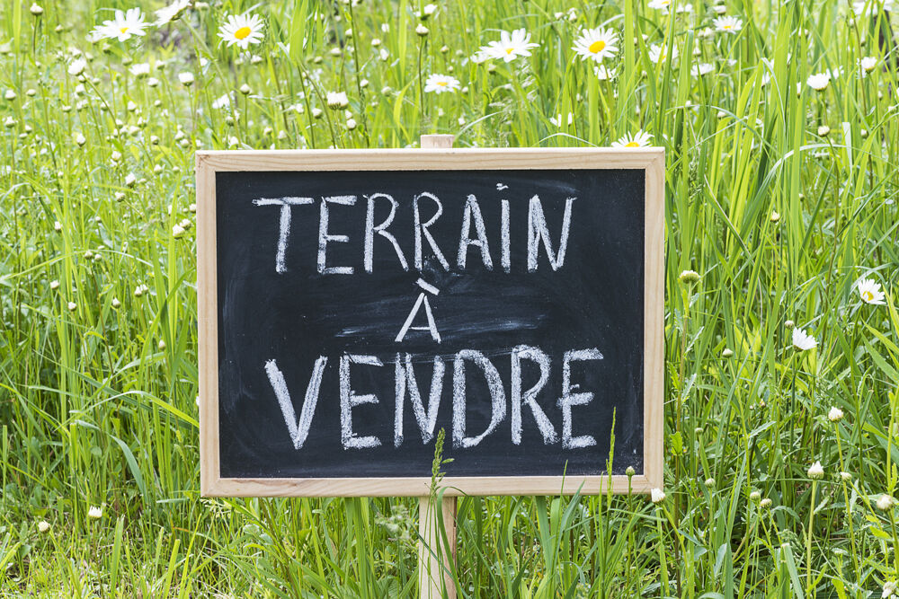 Vente Terrain Terrain constructible non viabilisé Ste gemme la plaine