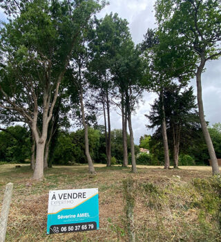  Terrain à vendre 3531 m²