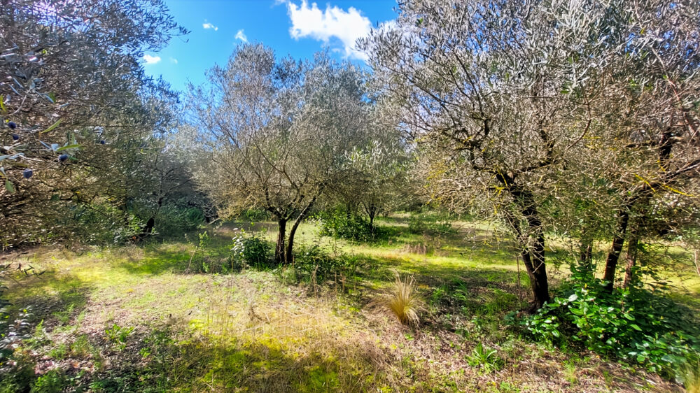 Vente Terrain A vendre, magnifique terrain situé sur Saint-Siffret St siffret