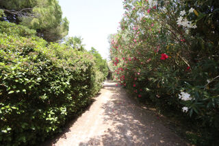  Maison � vendre 8 pi�ces 250 m�