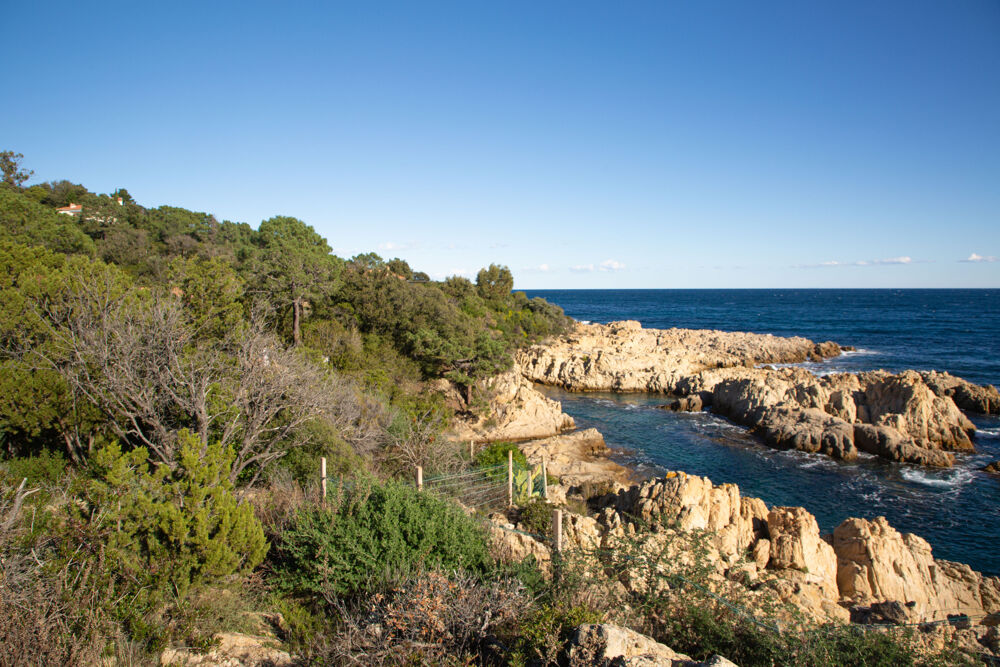 � vendre  Propri�t�/ch�teau Sari-Solenzara (20145)