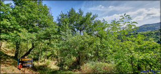  Terrain � vendre 1000 m�