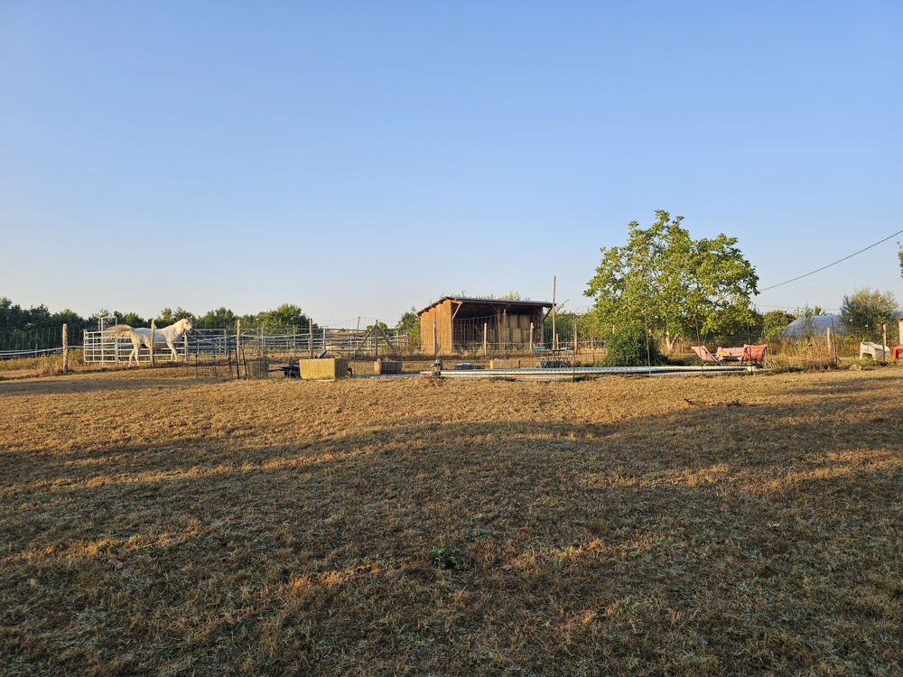 Vente Maison Propriété équestre de 5 hectares, entièrement clos, maison de plain pied 210m2 annexe 130m2 Grateloup st gayrand