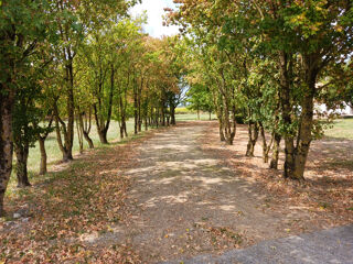  Propri�t�/ch�teau � vendre 12 pi�ces 439 m�