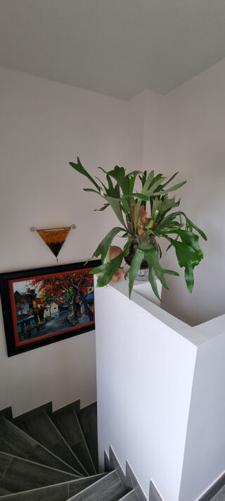  Maison � vendre 4 pi�ces 110 m�