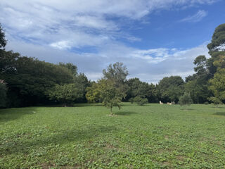  Appartement � vendre 2 pi�ces 49 m�