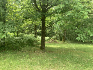  Propri�t�/ch�teau � vendre 7 pi�ces 130 m�