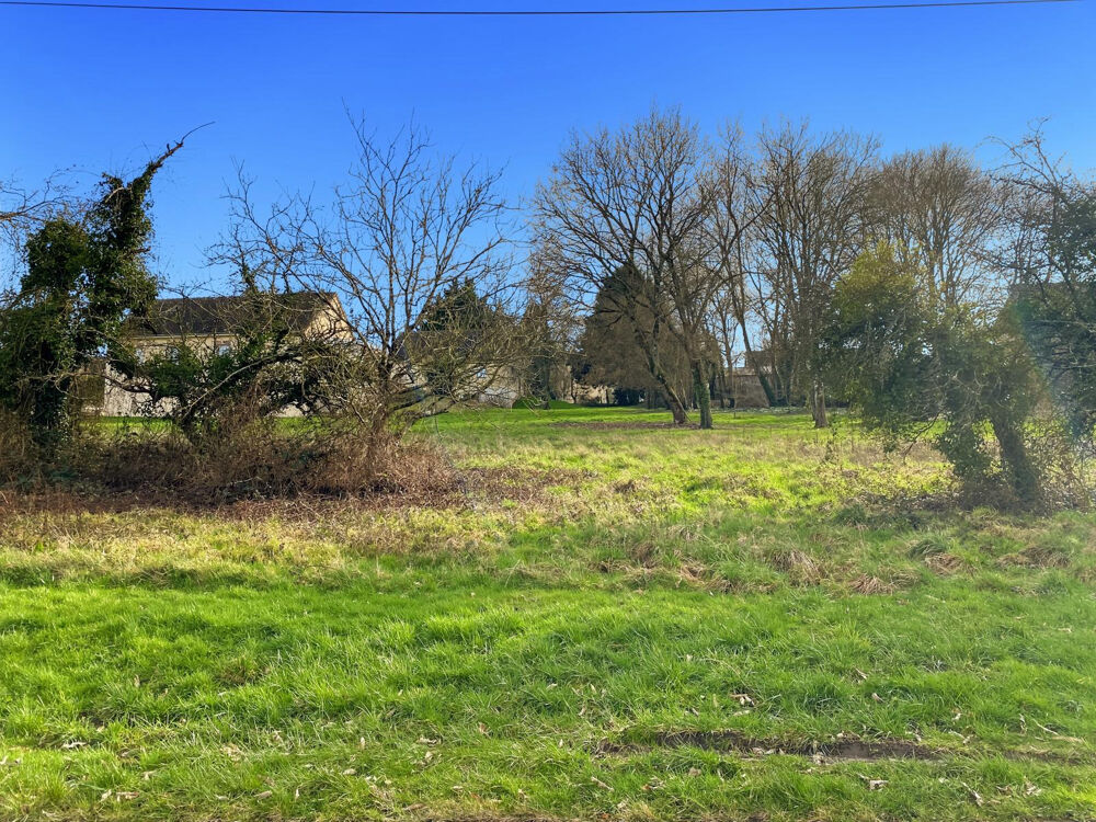 Vente Terrain COURTENAY Courtenay