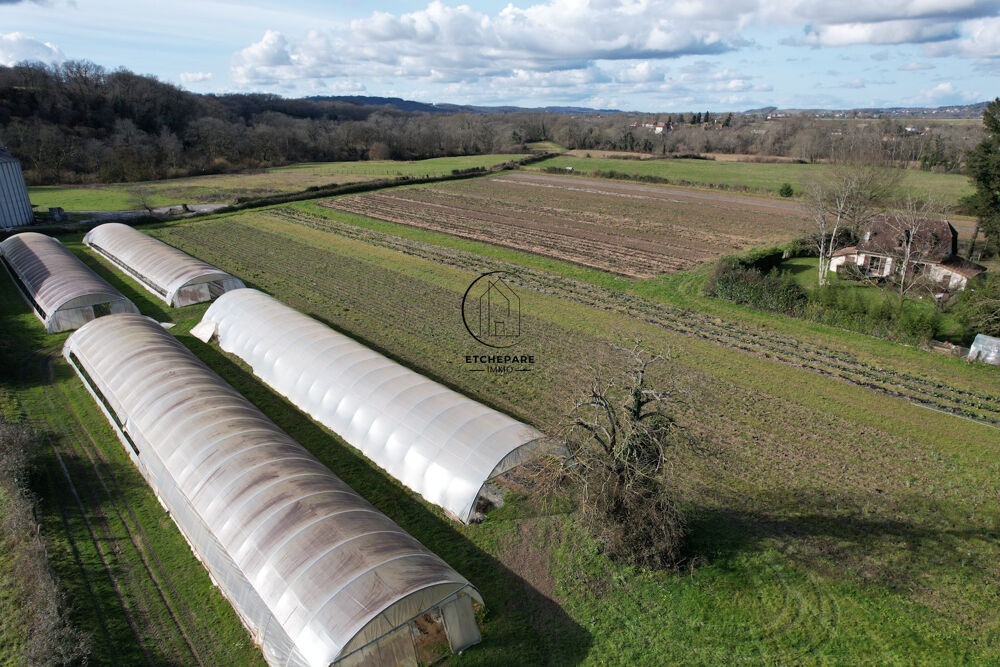  vendre  Proprit/chteau Espiute (64390)