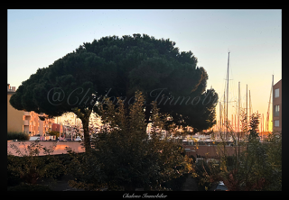  Appartement � vendre 1 pi�ce 26 m�