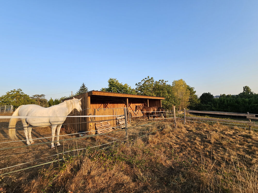 Propriété équestre de 5 hectares, entièrement clos, maison de plain pied 210m2 annexe 130m2