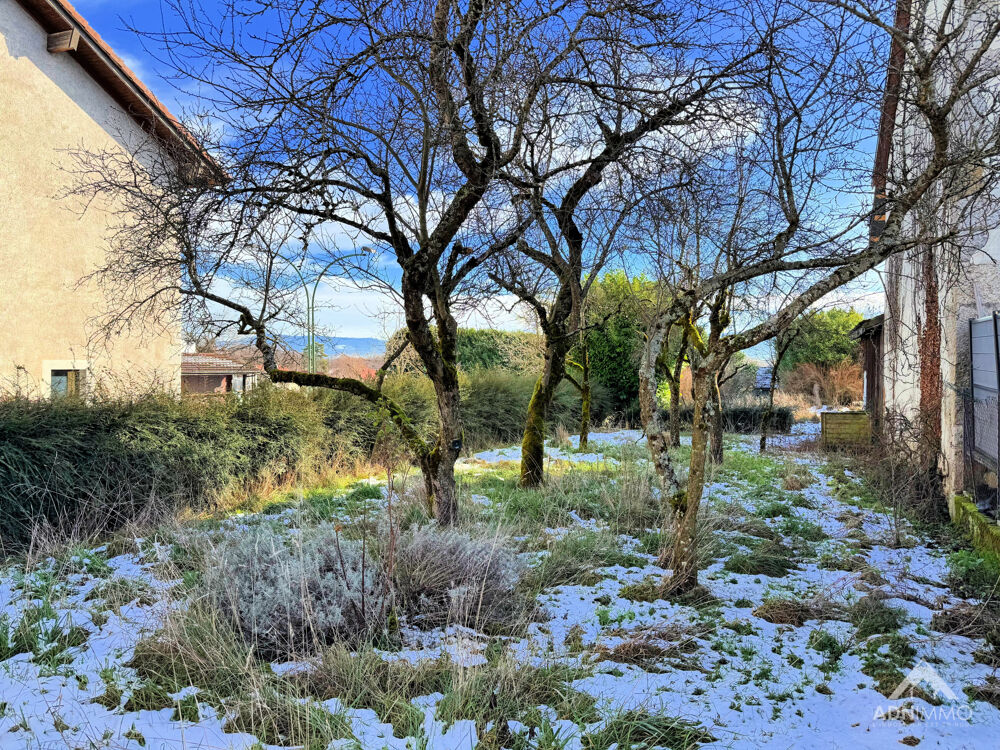 � vendre  Maison Sergy (01630)