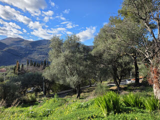  Terrain � vendre 1000 m�