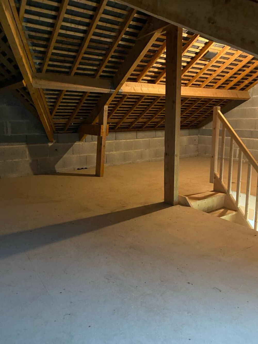 � vendre  Propri�t�/ch�teau Pleurtuit (35730)