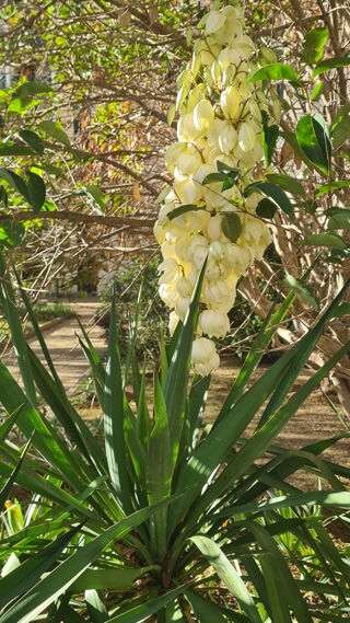  Appartement  vendre 3 pices 70 m